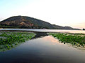 Manasbal-Lake.jpg