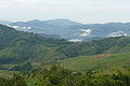 View-Of-Nagaland.jpg
