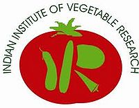 भारतीय सब्जी अनुसंधान संस्थान
