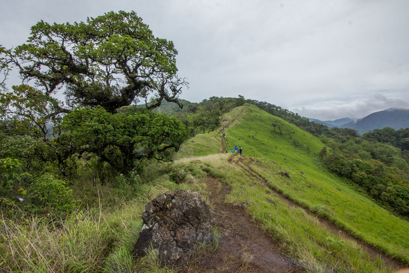 चित्र:Shirui-Hills-Manipur.jpg