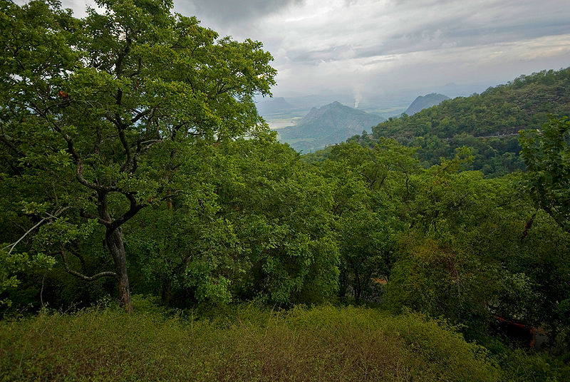 चित्र:Palani-Hills.jpg