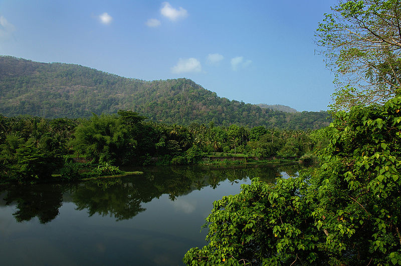 चित्र:Periyar-River-1.jpg