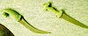 Daggers-National-Museum-Delhi.jpg