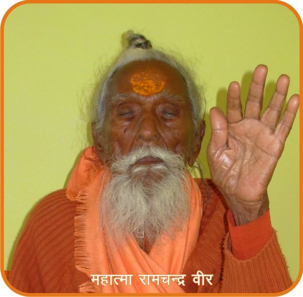 चित्र:Mahatma Veer.jpg