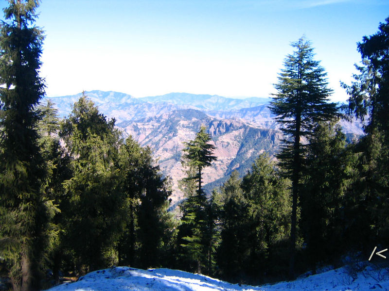 चित्र:Simla-13.jpg