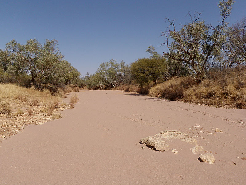 चित्र:Sturt-Stony-Desert.jpg