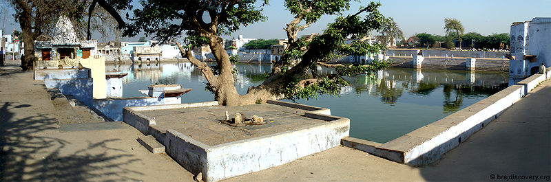 चित्र:Vimal-Kund-Kama-5.jpg