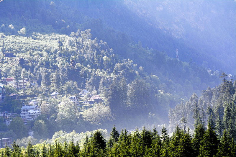 चित्र:Manali-2.jpg