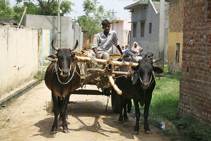 चित्र:Bull-Cart-4.jpg