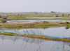 Chilika-Lake-8.jpg