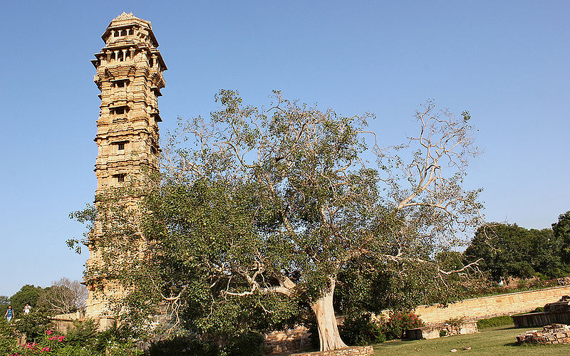 चित्र:Vijay-stambh-mewar.jpg