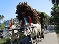 12:43, 17 अप्रैल 2014 के संस्करण का थंबनेल संस्करण