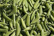 Peas-1.jpg