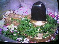 शिवलिंग पर अर्पित बेलपत्र