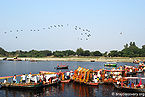 कोकिला बेन द्वारा यमुना की यात्रा, मथुरा A Yatra By Kokilaben, Mathura