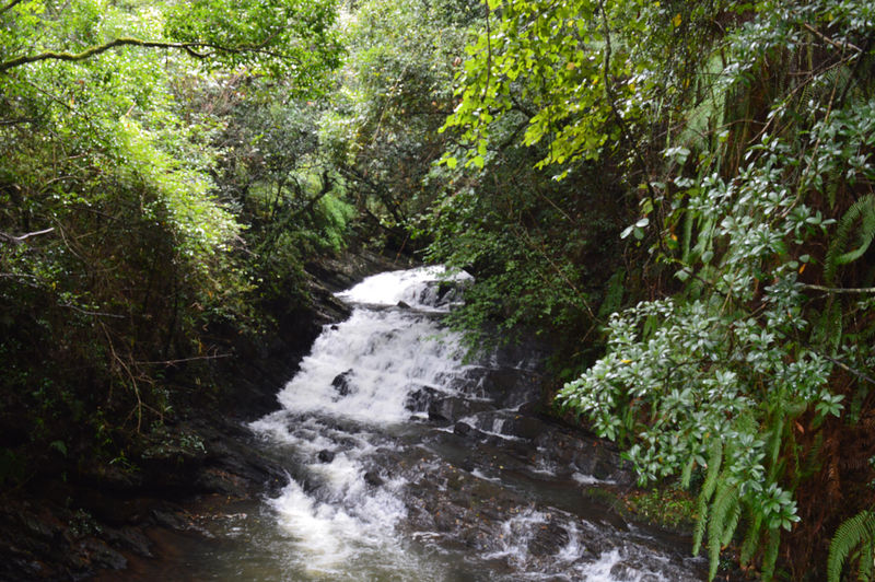 चित्र:Elephant Falls-6.jpg