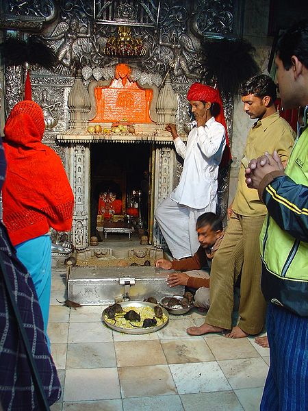 चित्र:Karni-Mata-Temple-2.jpg