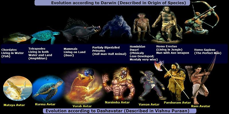 चित्र:Evolution1.jpg