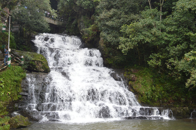 चित्र:Elephant Falls-4.jpg