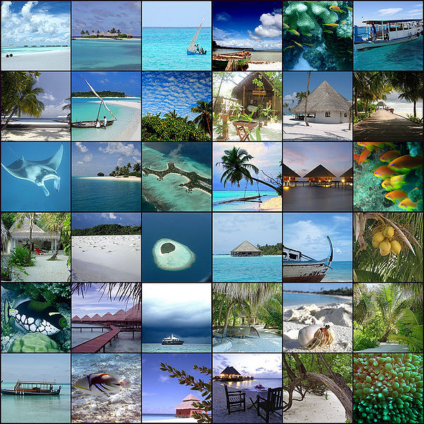 चित्र:Maldives-Colag.jpg