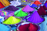 Holi-1.jpg