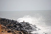 पॉंडिचेरी तट Pondicherry Beach