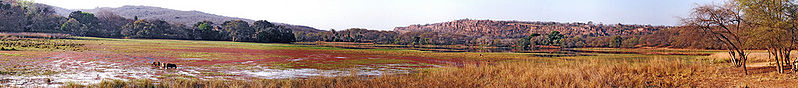 चित्र:Ranthambore-National-Park-4.jpg