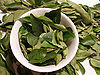 Curry-Leaves-1.jpg