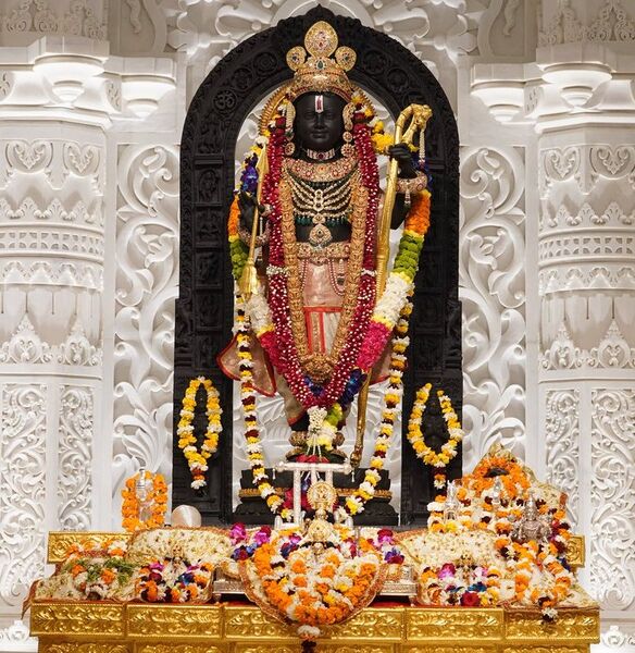 चित्र:Ram-Murti-Ram-Mandir-Ayodhya-2.jpg