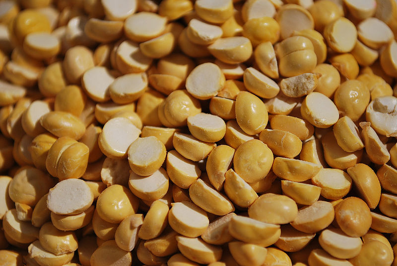 चित्र:Chickpea-1.jpg