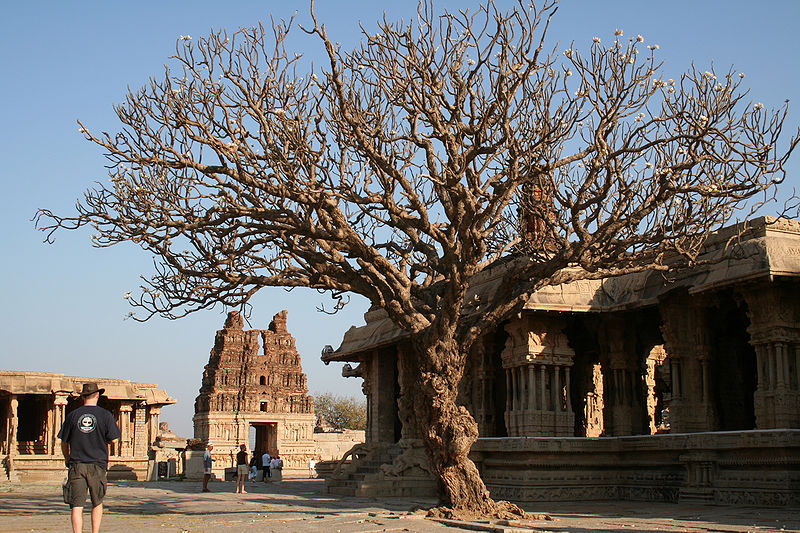 चित्र:Vijaya-Vittala-Temple-Karnataka-1.jpg
