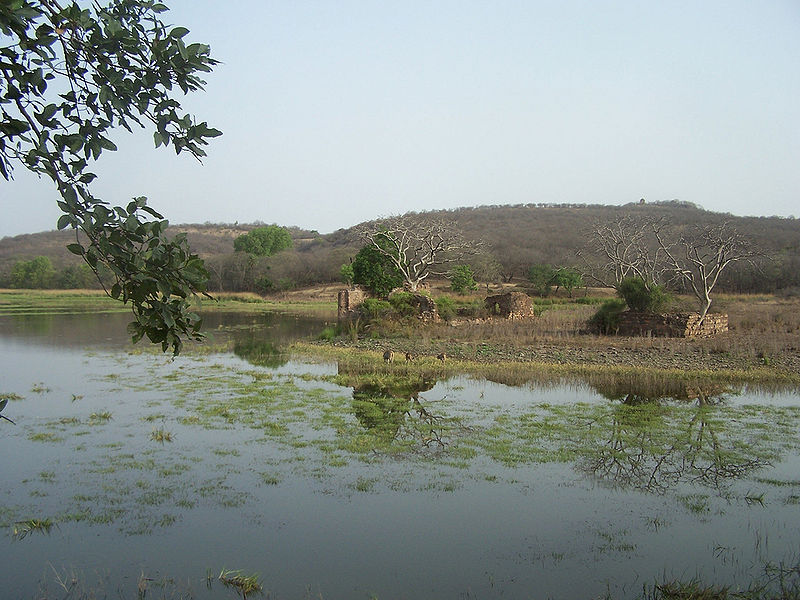 चित्र:Ranthambore-National-Park-2.jpg