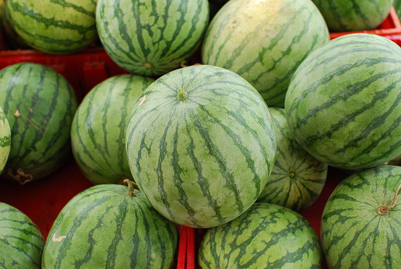 चित्र:Watermelon-1.jpg