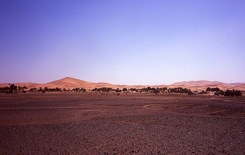 चित्र:Hamada-Desert.jpg