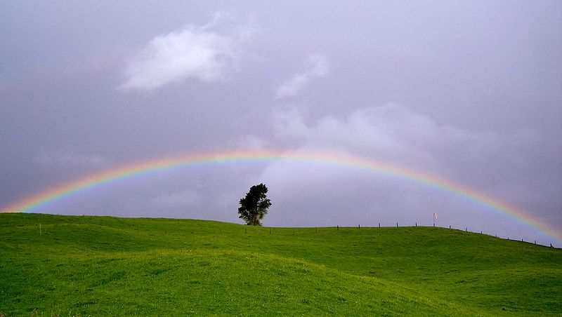 चित्र:Rainbow.jpg