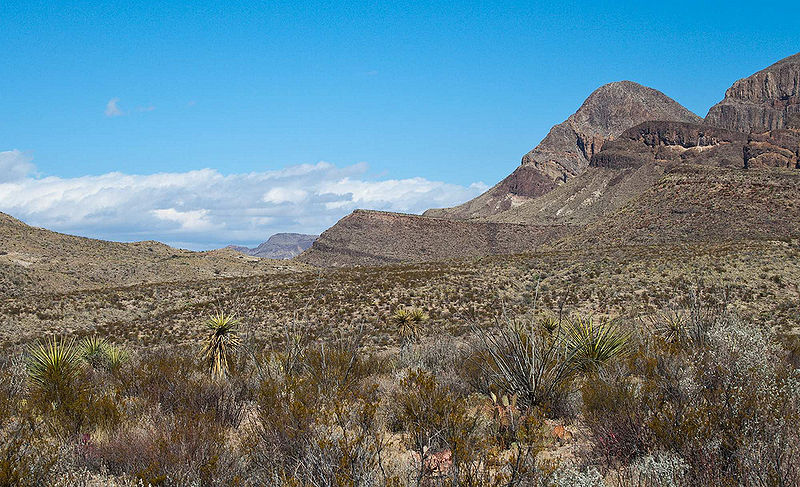 चित्र:Chihuahuan-Desert.jpg