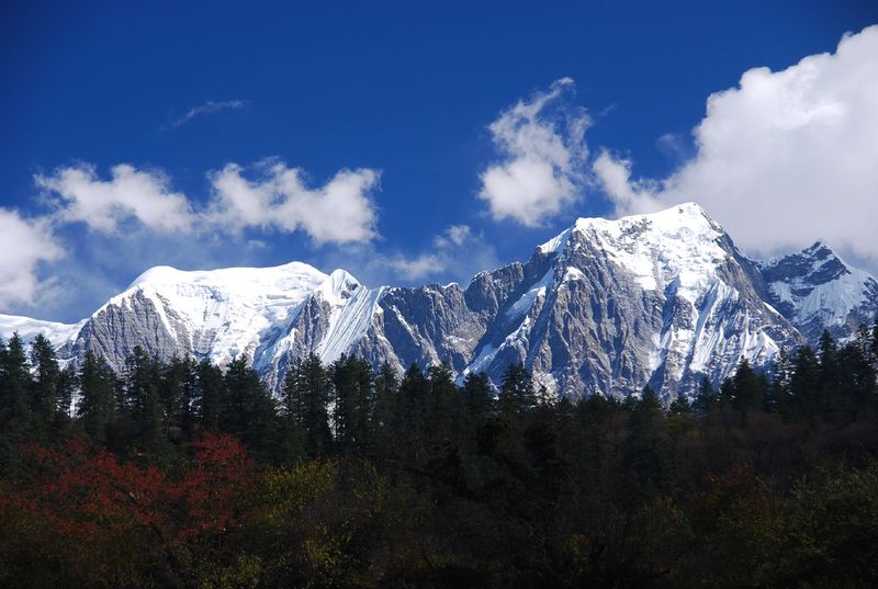 चित्र:Nilgiri-Hills-3.jpg