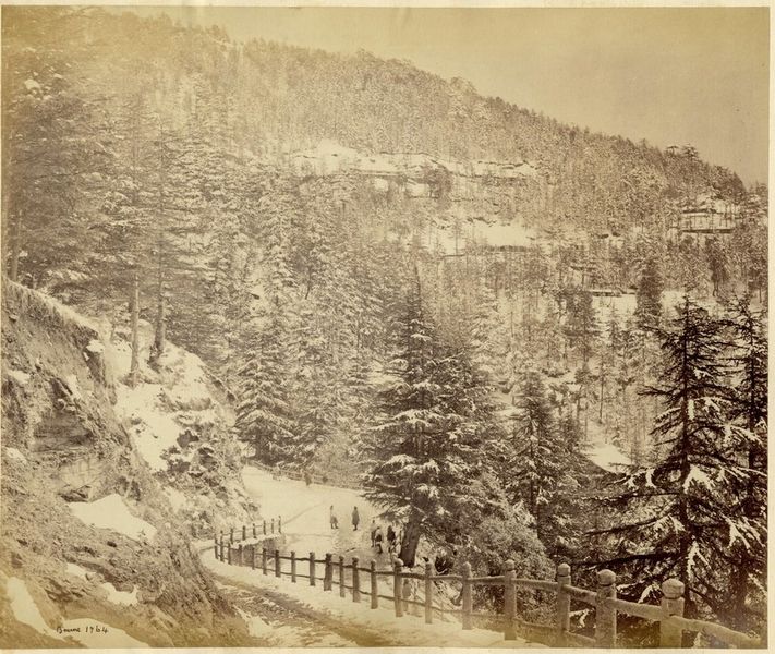 चित्र:Simla-2.jpg