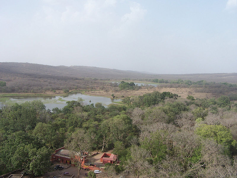 चित्र:Ranthambore-National-Park-3.jpg
