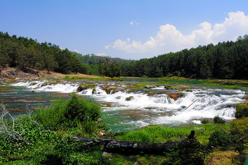 चित्र:Pykara-River-and-Falls-9.jpg